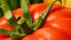 Test Recipe 1